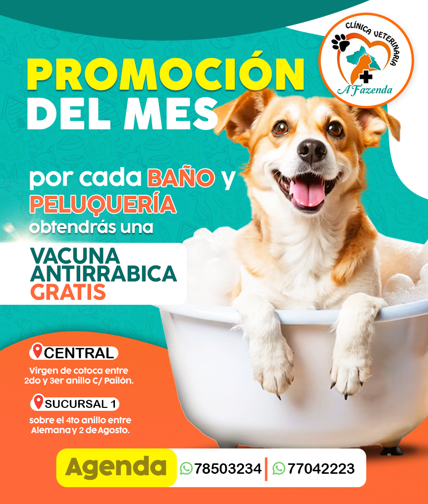 Diseño de portafolio: Post Fazenda